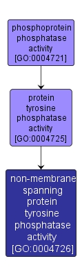 GO:0004726 - non-membrane spanning protein tyrosine phosphatase activity (interactive image map)