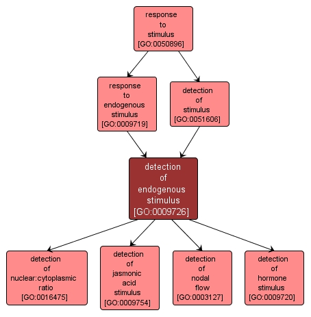 GO:0009726 - detection of endogenous stimulus (interactive image map)