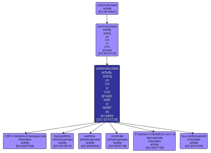 GO:0016726 - oxidoreductase activity, acting on CH or CH2 groups, NAD or NADP as acceptor (interactive image map)