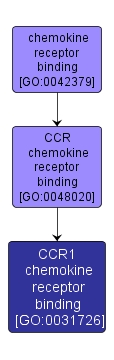 GO:0031726 - CCR1 chemokine receptor binding (interactive image map)