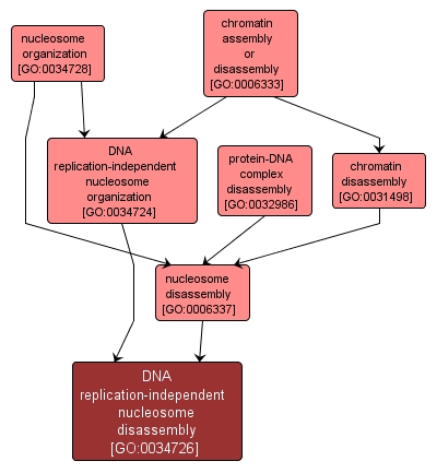GO:0034726 - DNA replication-independent nucleosome disassembly (interactive image map)