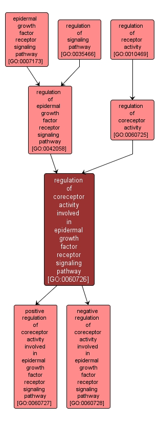 GO:0060726 - regulation of coreceptor activity involved in epidermal growth factor receptor signaling pathway (interactive image map)