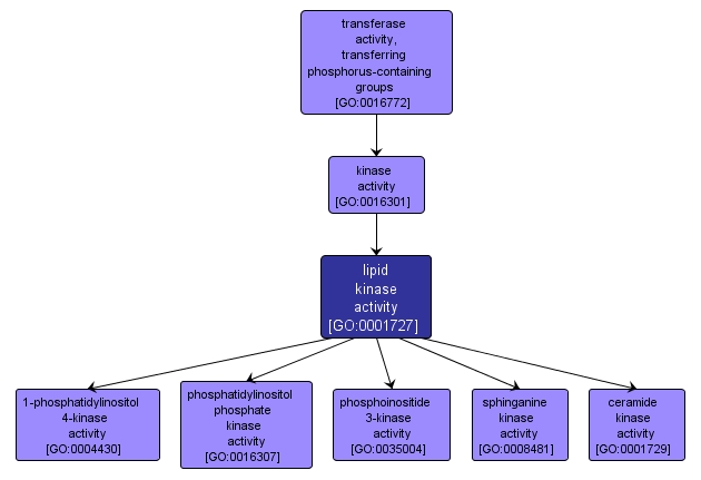 GO:0001727 - lipid kinase activity (interactive image map)