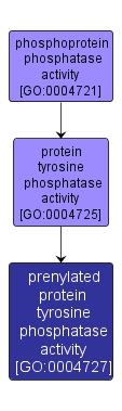 GO:0004727 - prenylated protein tyrosine phosphatase activity (interactive image map)