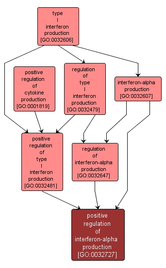 GO:0032727 - positive regulation of interferon-alpha production (interactive image map)