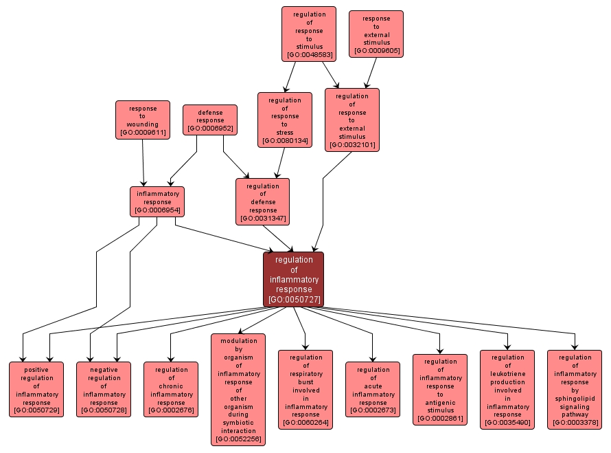 GO:0050727 - regulation of inflammatory response (interactive image map)