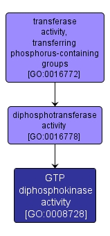 GO:0008728 - GTP diphosphokinase activity (interactive image map)