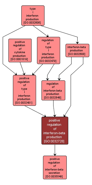 GO:0032728 - positive regulation of interferon-beta production (interactive image map)