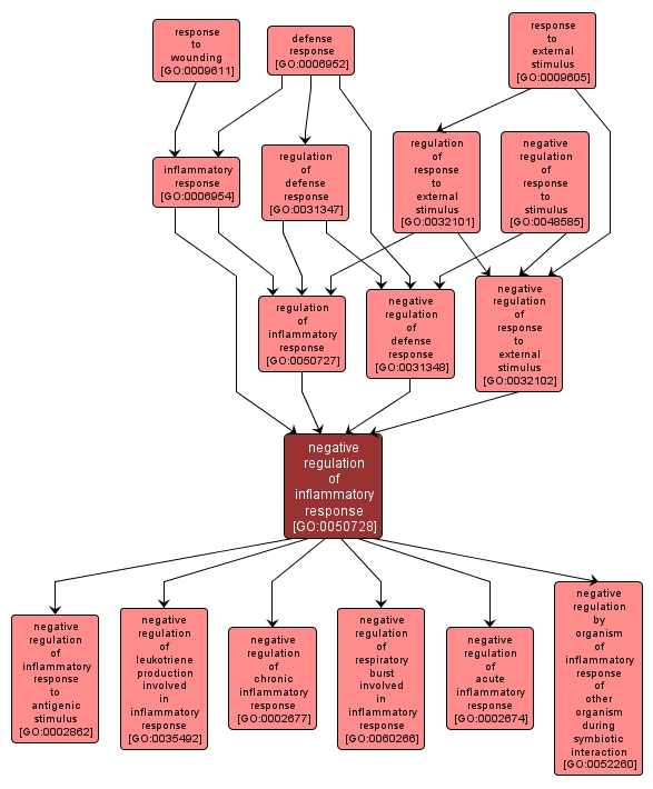 GO:0050728 - negative regulation of inflammatory response (interactive image map)