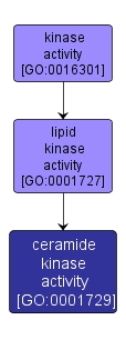 GO:0001729 - ceramide kinase activity (interactive image map)