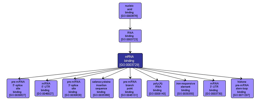 GO:0003729 - mRNA binding (interactive image map)