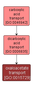GO:0015729 - oxaloacetate transport (interactive image map)