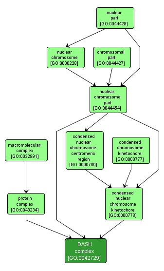 GO:0042729 - DASH complex (interactive image map)