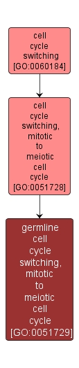 GO:0051729 - germline cell cycle switching, mitotic to meiotic cell cycle (interactive image map)
