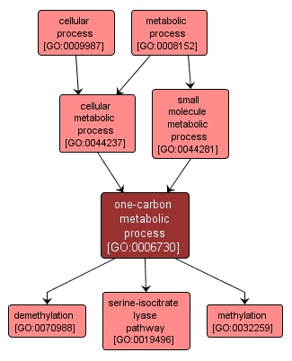 GO:0006730 - one-carbon metabolic process (interactive image map)
