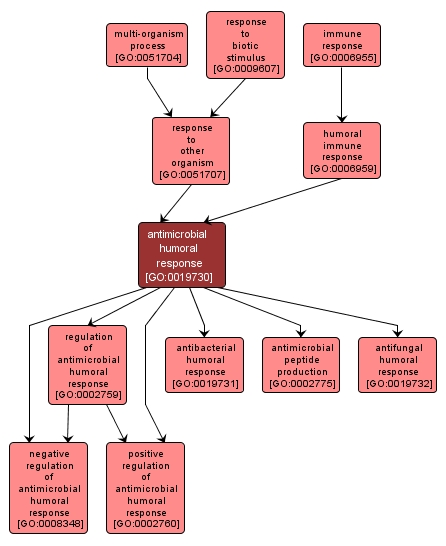 GO:0019730 - antimicrobial humoral response (interactive image map)