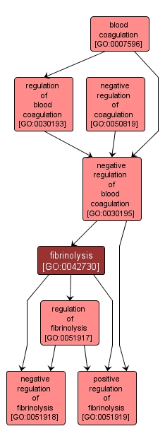 GO:0042730 - fibrinolysis (interactive image map)