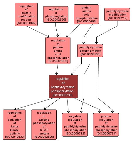 GO:0050730 - regulation of peptidyl-tyrosine phosphorylation (interactive image map)