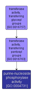 GO:0004731 - purine-nucleoside phosphorylase activity (interactive image map)