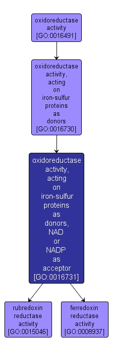 GO:0016731 - oxidoreductase activity, acting on iron-sulfur proteins as donors, NAD or NADP as acceptor (interactive image map)