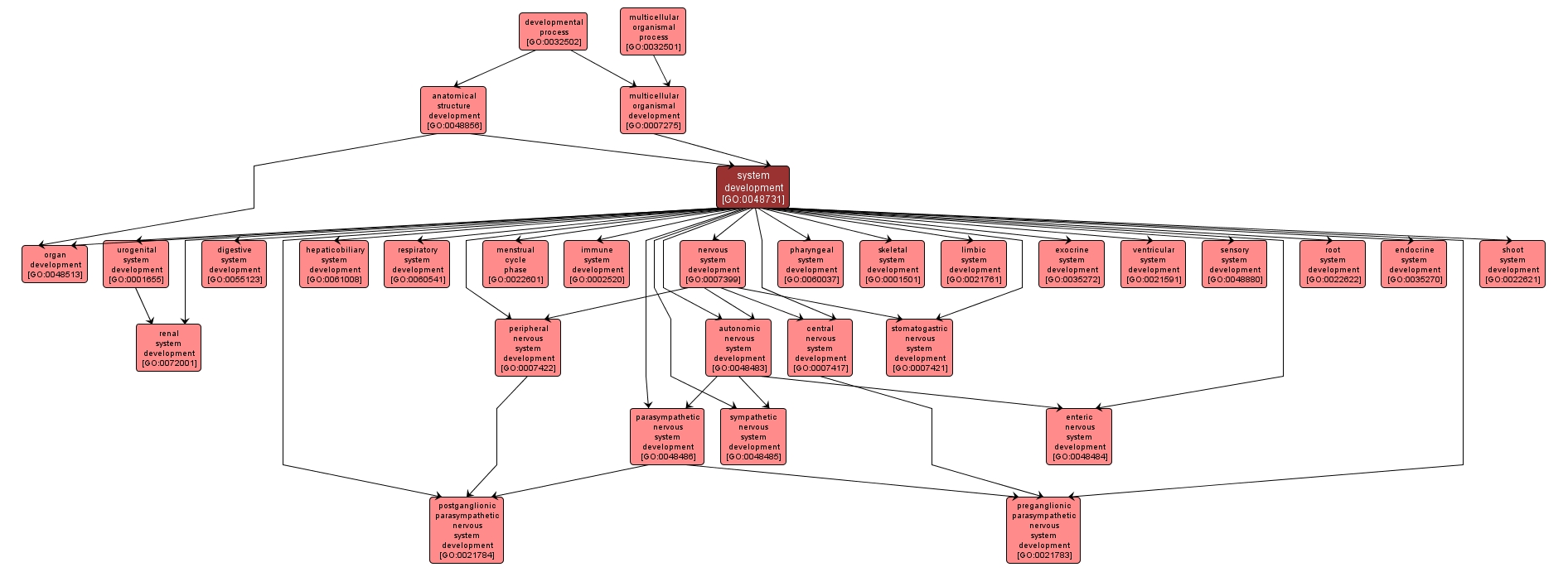 GO:0048731 - system development (interactive image map)