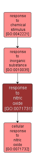 GO:0071731 - response to nitric oxide (interactive image map)