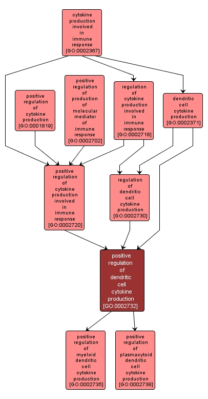 GO:0002732 - positive regulation of dendritic cell cytokine production (interactive image map)