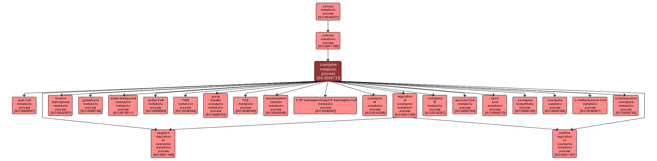 GO:0006732 - coenzyme metabolic process (interactive image map)