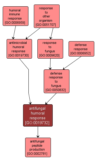 GO:0019732 - antifungal humoral response (interactive image map)