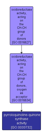 GO:0033732 - pyrroloquinoline-quinone synthase activity (interactive image map)