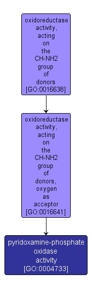 GO:0004733 - pyridoxamine-phosphate oxidase activity (interactive image map)