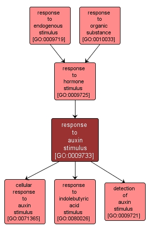 GO:0009733 - response to auxin stimulus (interactive image map)