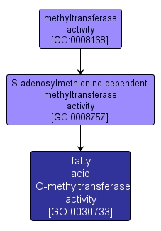 GO:0030733 - fatty acid O-methyltransferase activity (interactive image map)