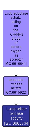 GO:0008734 - L-aspartate oxidase activity (interactive image map)
