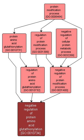 GO:0010734 - negative regulation of protein amino acid glutathionylation (interactive image map)