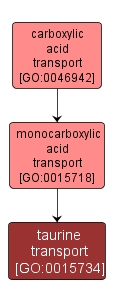 GO:0015734 - taurine transport (interactive image map)