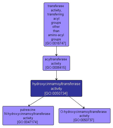 GO:0050734 - hydroxycinnamoyltransferase activity (interactive image map)