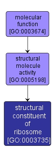 GO:0003735 - structural constituent of ribosome (interactive image map)