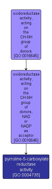 GO:0004735 - pyrroline-5-carboxylate reductase activity (interactive image map)