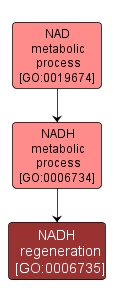 GO:0006735 - NADH regeneration (interactive image map)