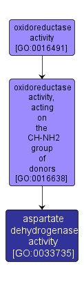 GO:0033735 - aspartate dehydrogenase activity (interactive image map)