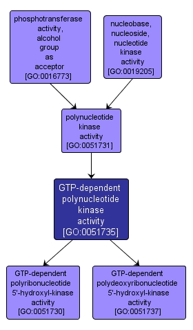 GO:0051735 - GTP-dependent polynucleotide kinase activity (interactive image map)