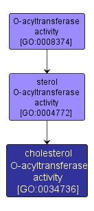 GO:0034736 - cholesterol O-acyltransferase activity (interactive image map)