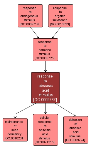 GO:0009737 - response to abscisic acid stimulus (interactive image map)