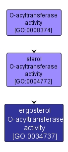 GO:0034737 - ergosterol O-acyltransferase activity (interactive image map)