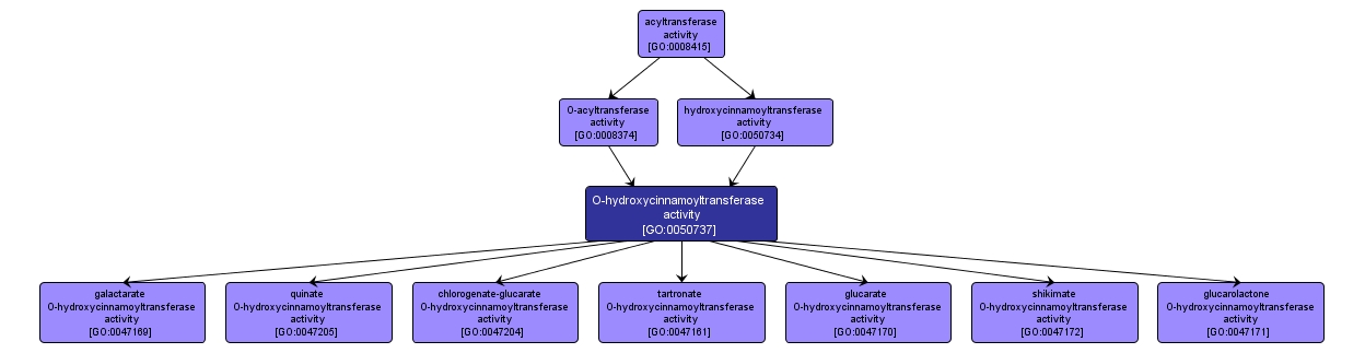 GO:0050737 - O-hydroxycinnamoyltransferase activity (interactive image map)