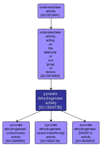 GO:0004738 - pyruvate dehydrogenase activity (interactive image map)