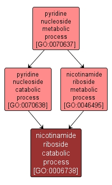 GO:0006738 - nicotinamide riboside catabolic process (interactive image map)