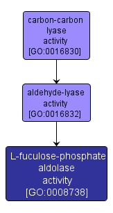 GO:0008738 - L-fuculose-phosphate aldolase activity (interactive image map)
