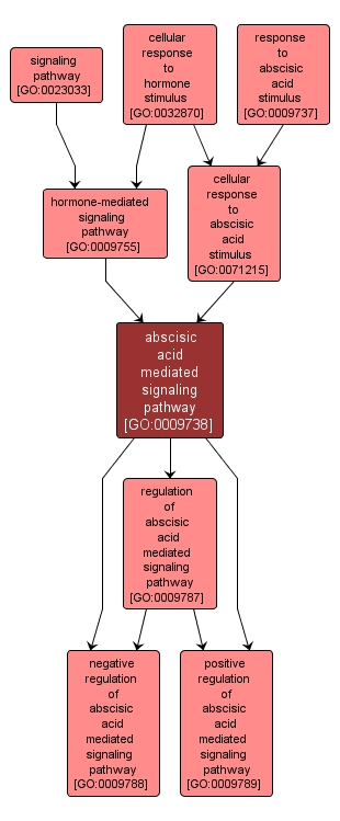 GO:0009738 - abscisic acid mediated signaling pathway (interactive image map)